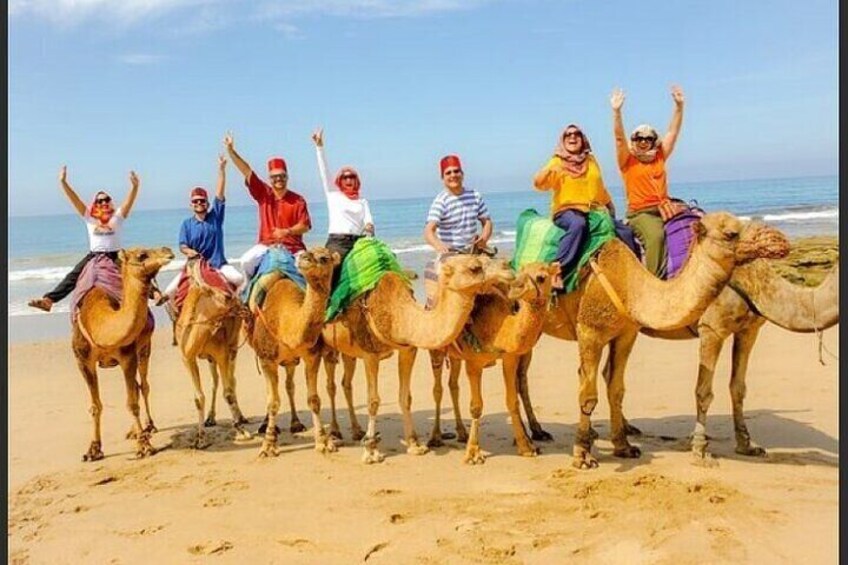 Authentic private Tangier Tour from malaga camel ride included