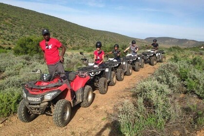 Quad Bike Fun Ride in Oudtshoorn Western Cape