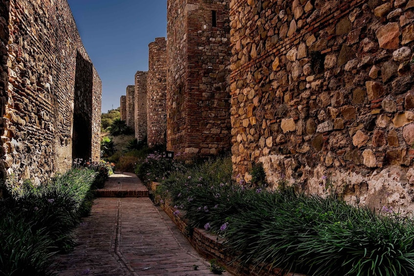 Picture 2 for Activity Málaga: Roman Theatre and Alcazaba Guided Tour