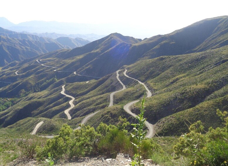 Picture 5 for Activity From Mendoza: High Andes Aconcagua Mountain Tour