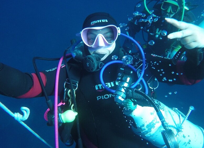 Picture 18 for Activity Catania: Gulf Scuba Diving Tour with Marine Biologist
