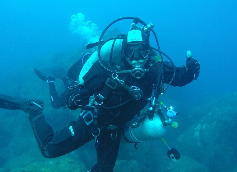 Picture 13 for Activity Catania: Gulf Scuba Diving Tour with Marine Biologist