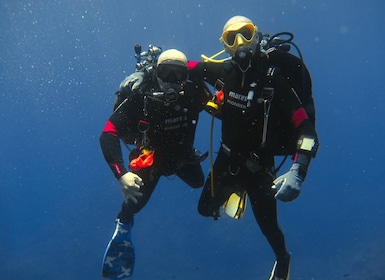 Catania: Dykketur med marinbiolog i bukten