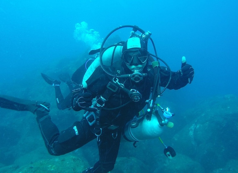 Picture 13 for Activity Catania: Gulf Scuba Diving Tour with Marine Biologist