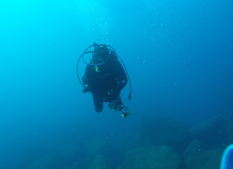 Picture 9 for Activity Catania: Gulf Scuba Diving Tour with Marine Biologist