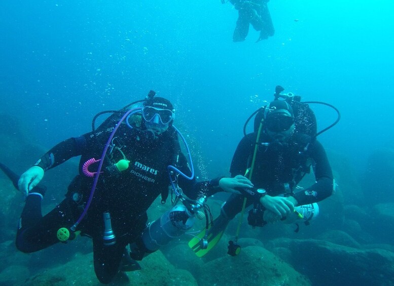 Picture 17 for Activity Catania: Gulf Scuba Diving Tour with Marine Biologist