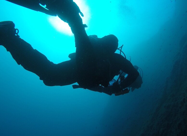 Picture 8 for Activity Catania: Gulf Scuba Diving Tour with Marine Biologist