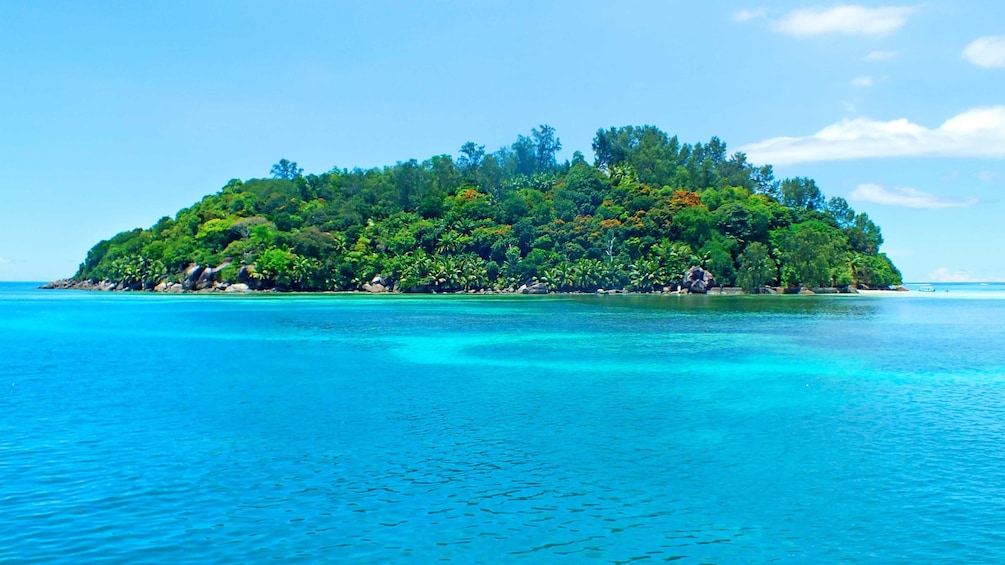 Show item 4 of 5. Full Day Reef Safari in Seychelles