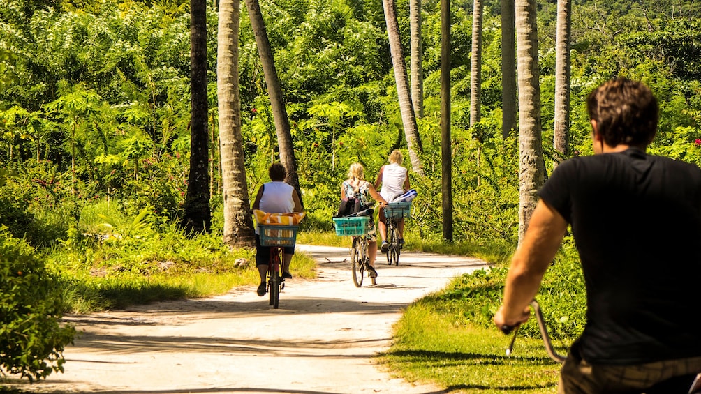 Group bicycling down pathway in La Digue