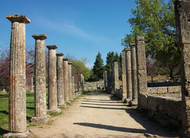 From Kyllini: Day Trip to Ancient Olympia & a Greek Farm