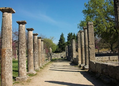 From Kyllini: Day Trip to Ancient Olympia & a Greek Farm