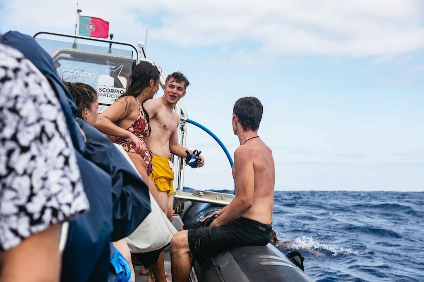 Picture 3 for Activity From Machico: Madeira Whale and Dolphin Watching Boat Tour