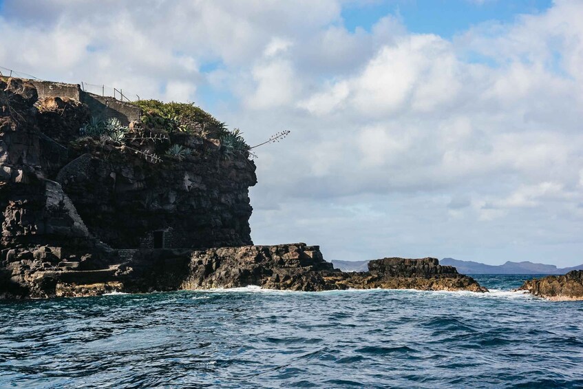 Picture 15 for Activity From Machico: Madeira Whale and Dolphin Watching Boat Tour