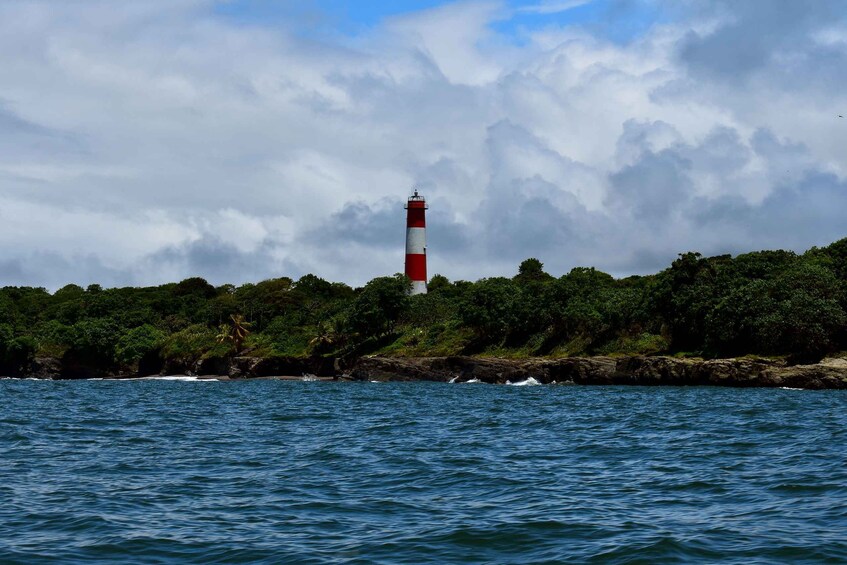 Picture 14 for Activity Cali: Whale Watching in the Colombian Pacific Coast