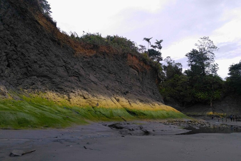 Picture 13 for Activity Cali: Whale Watching in the Colombian Pacific Coast