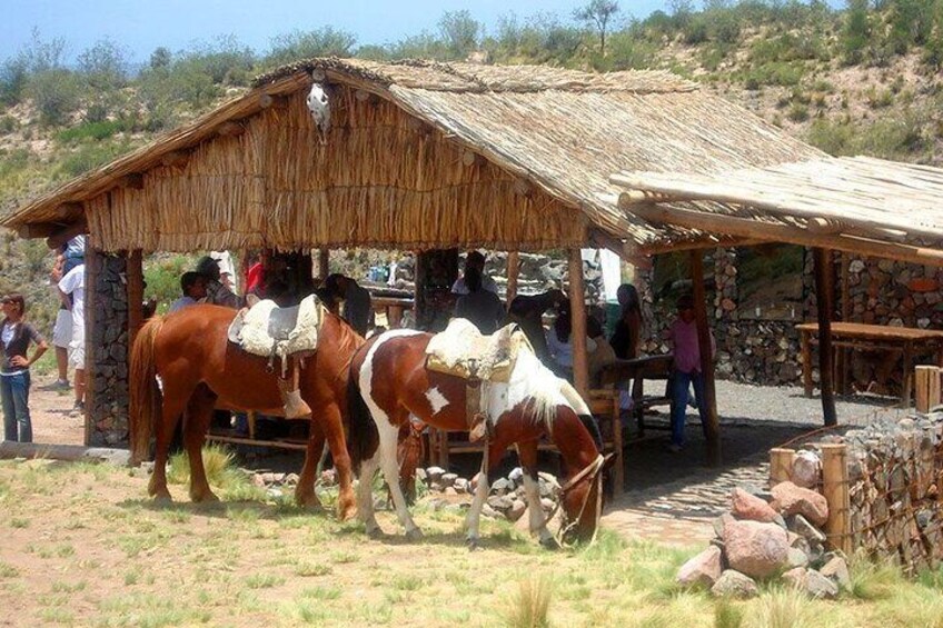 Horseback Riding with traditional Argentinean Asado and Wine