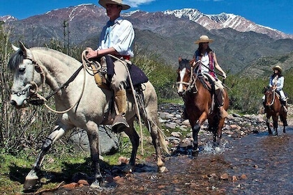 Horseback Riding with traditional Asado and Wine from Mendoza