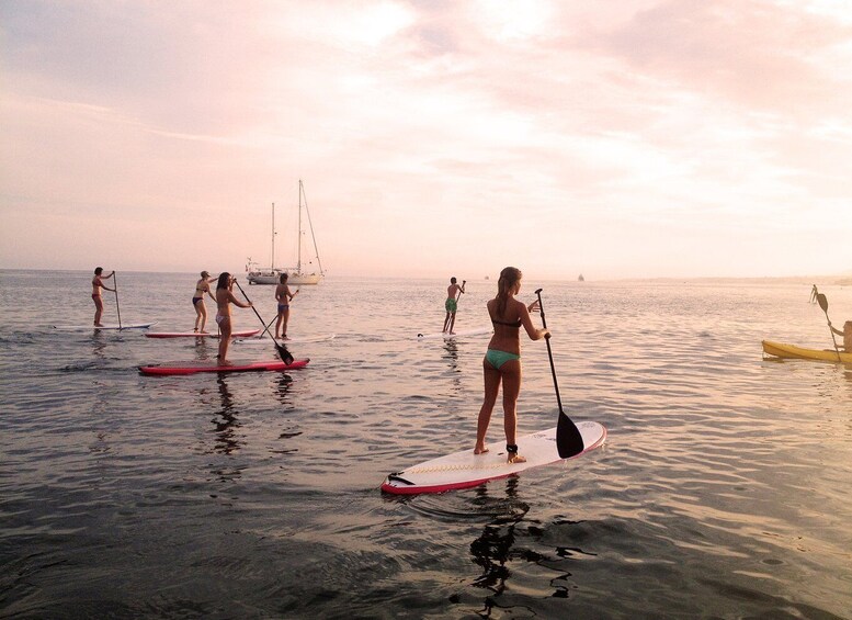 Picture 2 for Activity Marbella: Stand-Up Paddle Board at Sunset
