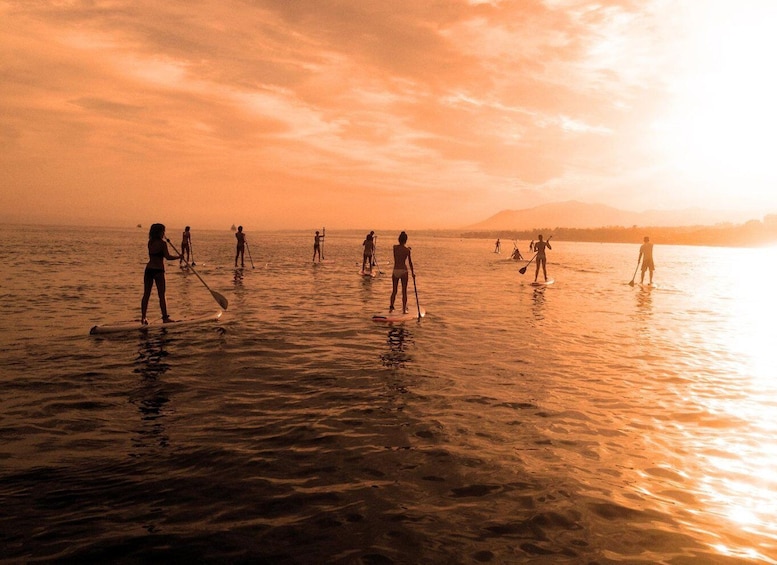 Marbella: Stand-Up Paddle Board at Sunset