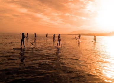 Marbella: Stand-Up Paddle Board bei Sonnenuntergang