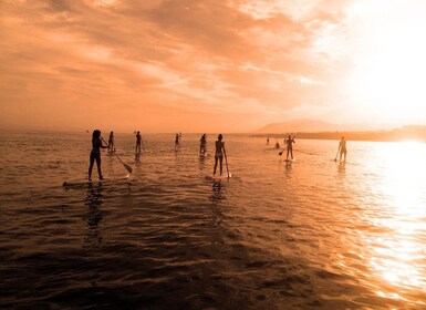 Marbella: Stand-Up Paddle Board at Sunset