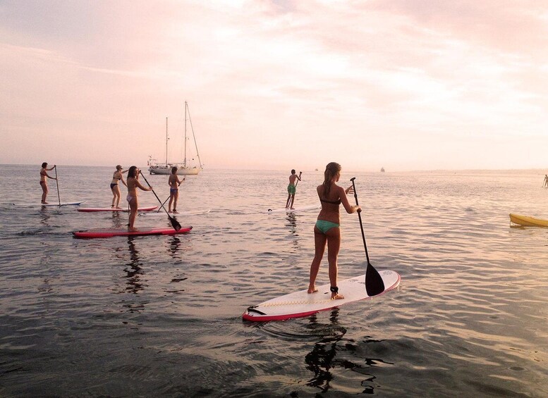 Picture 2 for Activity Marbella: Stand-Up Paddle Board at Sunset