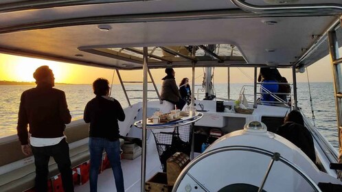 Baie de Monterey : Voile en catamaran au coucher du soleil croisière