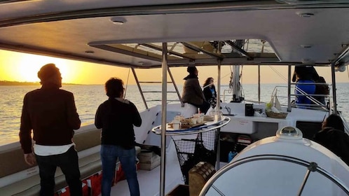 Monterey Bay: Seglingskryssning med katamaran vid solnedgången