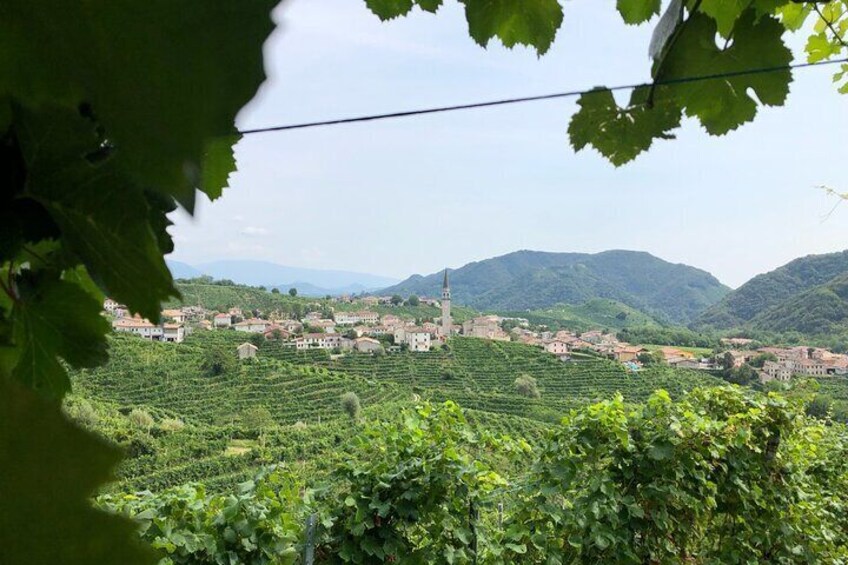 Prosecco Hills Wine and Cheese Tasting Tour