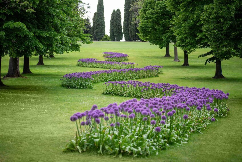 Picture 4 for Activity Valeggio Sul Mincio: Sigurtà Garden Park Entry Ticket