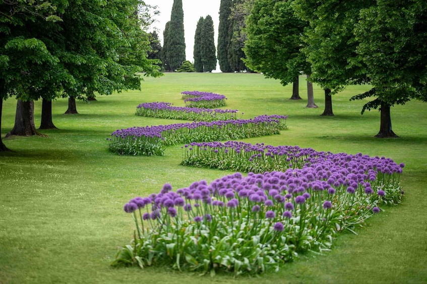 Picture 4 for Activity Valeggio Sul Mincio: Sigurtà Garden Park Entry Ticket