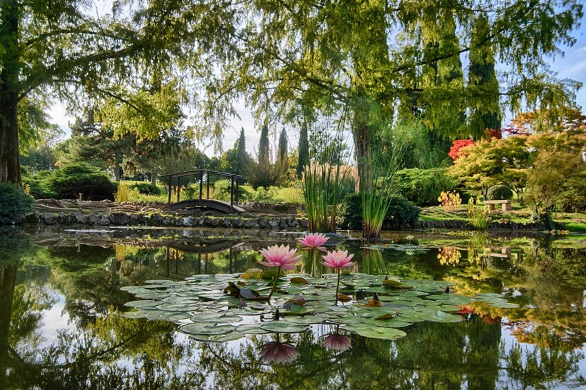 Picture 5 for Activity Valeggio Sul Mincio: Sigurtà Garden Park Entry Ticket