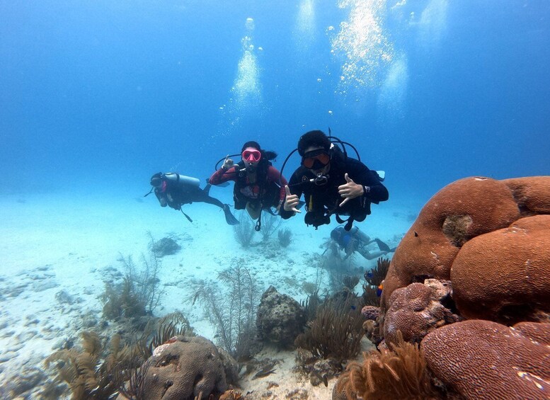 Picture 4 for Activity San Andres: SCUBA Diving Experience with Hotel Pickup