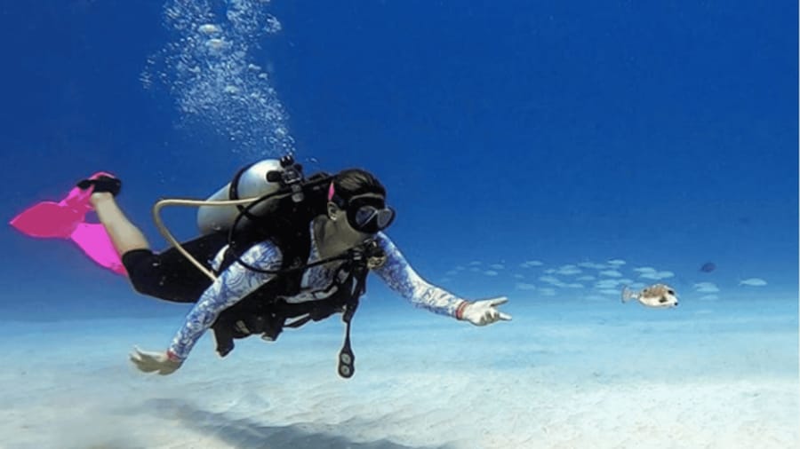 San Andres: SCUBA Diving Experience with Hotel Pickup