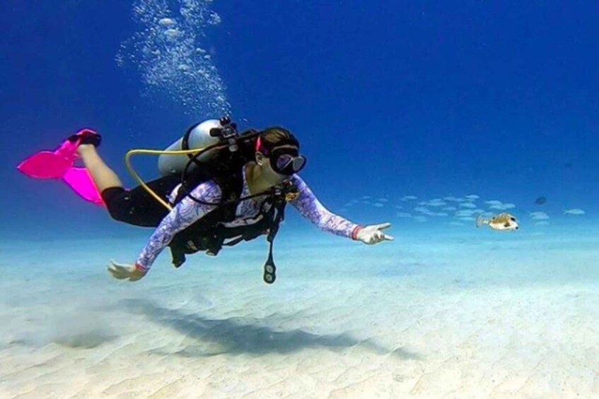 San Andres: SCUBA Diving Experience with Hotel Pickup