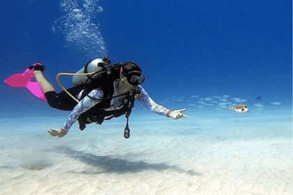 San Andres: SCUBA Diving Experience with Hotel Pickup