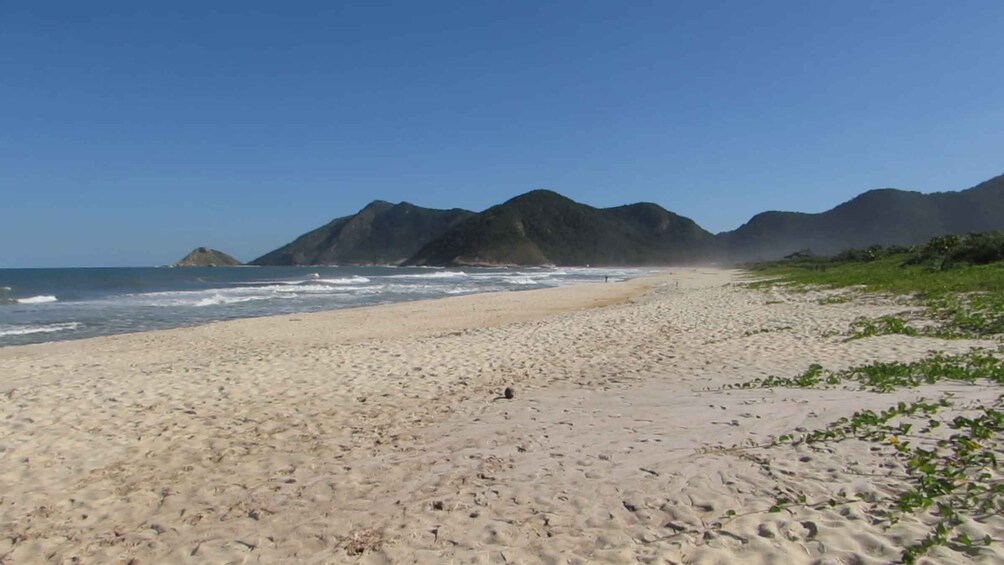 Picture 13 for Activity Pedra do Telégrafo Hike and Beach Full-Day Tour