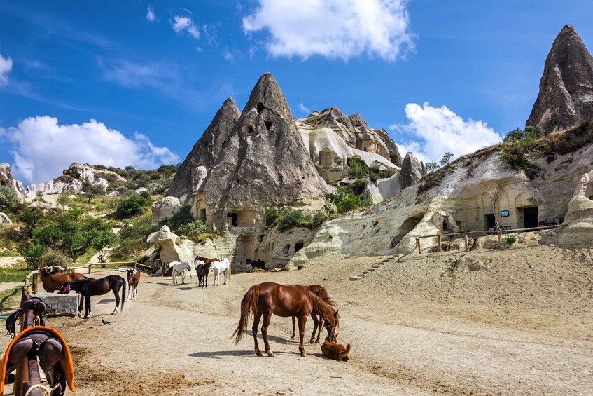 Picture 3 for Activity Göreme: Horseback Riding Experience in Cappadocia