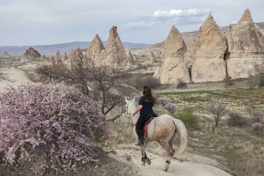 Picture 2 for Activity Göreme: Horseback Riding Experience in Cappadocia