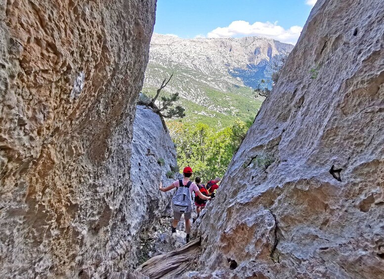 Picture 5 for Activity From Orosei & Dorgali: Hike to nuragic village of Tiscali