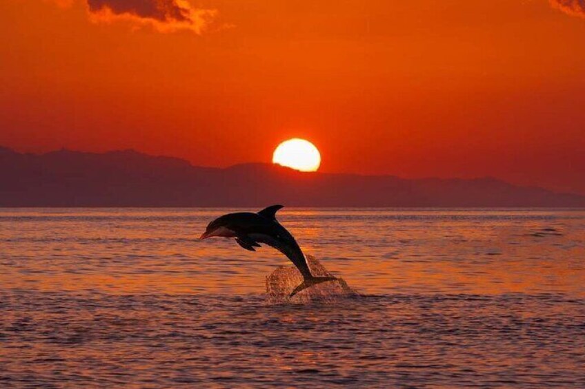 Sunrise Dolphins Watching Breakfast Taormina bay