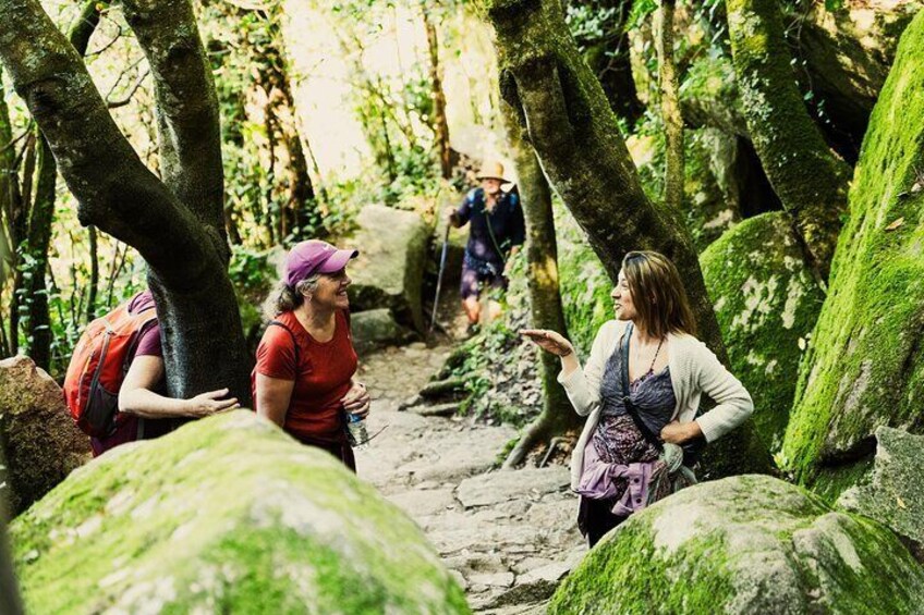 Sintra Hike Like a local Cultural Walking Tour