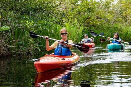 Shared Kayak and Airboat Tour to Everglades