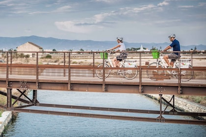 Cagliari: Electric Bike Nature Tour