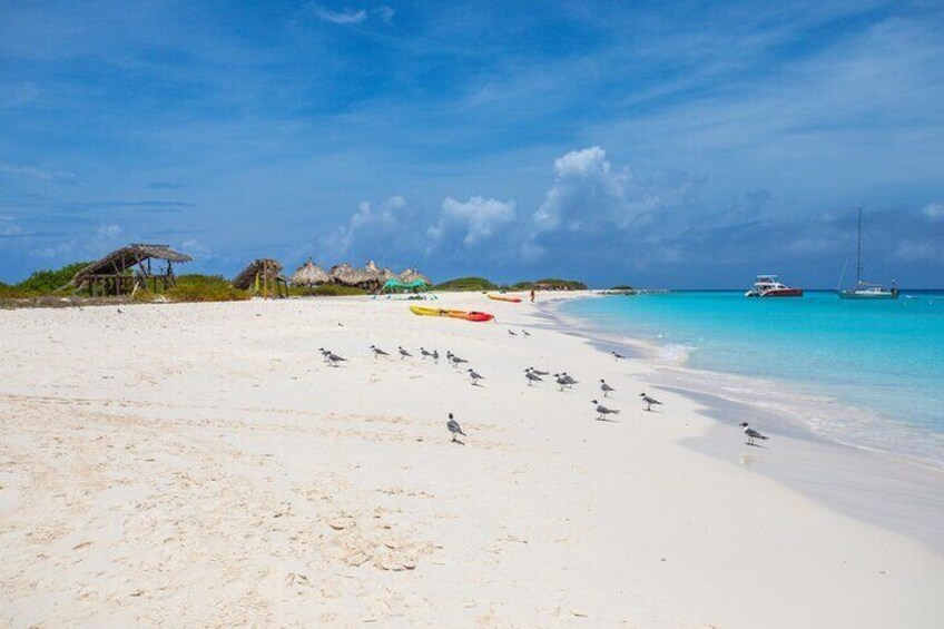 Visit Klein Curacao's mile long white sandy beach