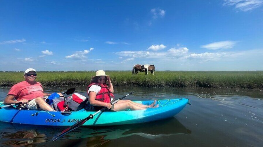 Guided Assateague Kayaking and Wildlife Discovery Tour