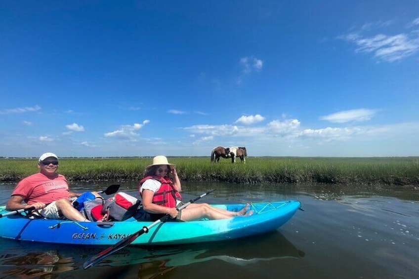 Guided Assateague Kayaking and Wildlife Discovery Tour