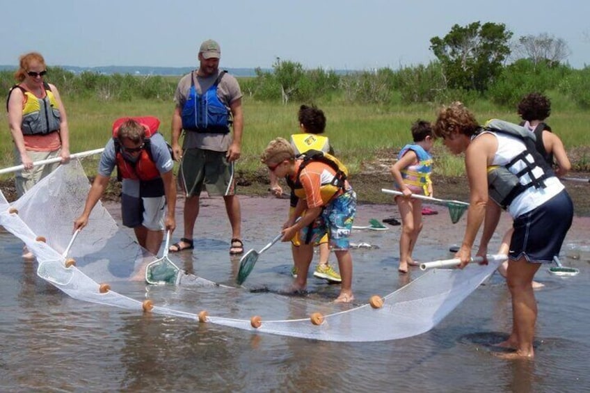 Guided Assateague Kayaking and Wildlife Discovery Tour