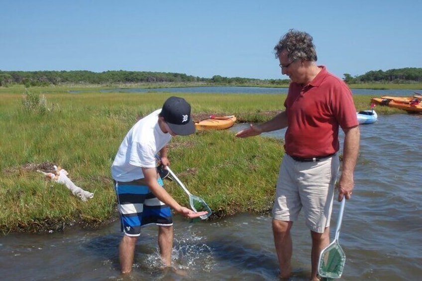 Guided Assateague Kayaking and Wildlife Discovery Tour