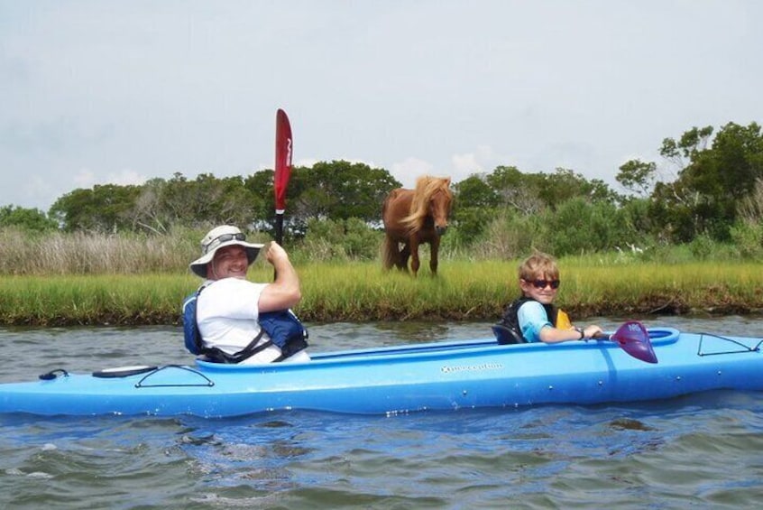 Guided Assateague Kayaking and Wildlife Discovery Tour